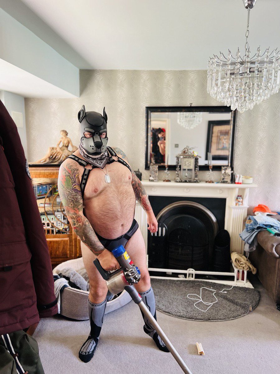buckypup2's tweet photo. Domestic pup. https://t.co/jX2MXuRKo9