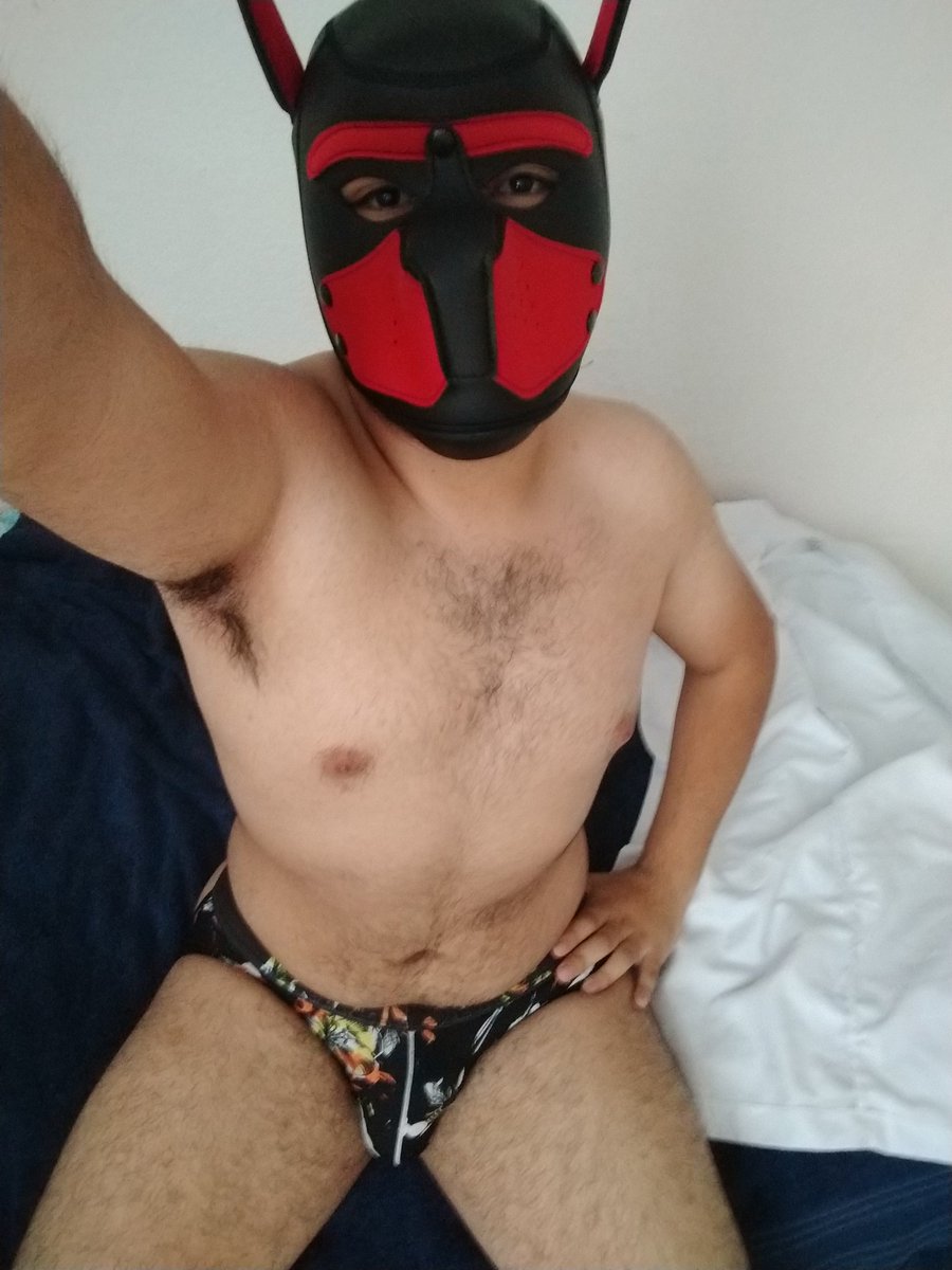 Como un buen perrito 😊