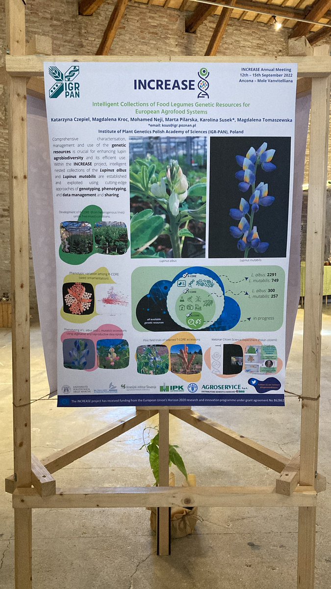 margarijta's tweet photo. First day in Ancona…

Public conference "Agrobiodiversity for healthy and sustainable diets" on 12th September 2022 https://t.co/rPfui7OAeW