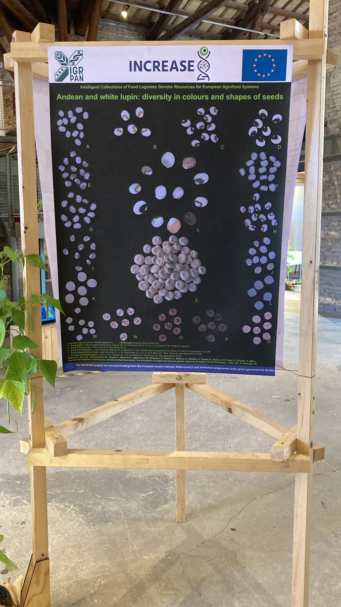 margarijta's tweet photo. First day in Ancona…

Public conference "Agrobiodiversity for healthy and sustainable diets" on 12th September 2022 https://t.co/rPfui7OAeW