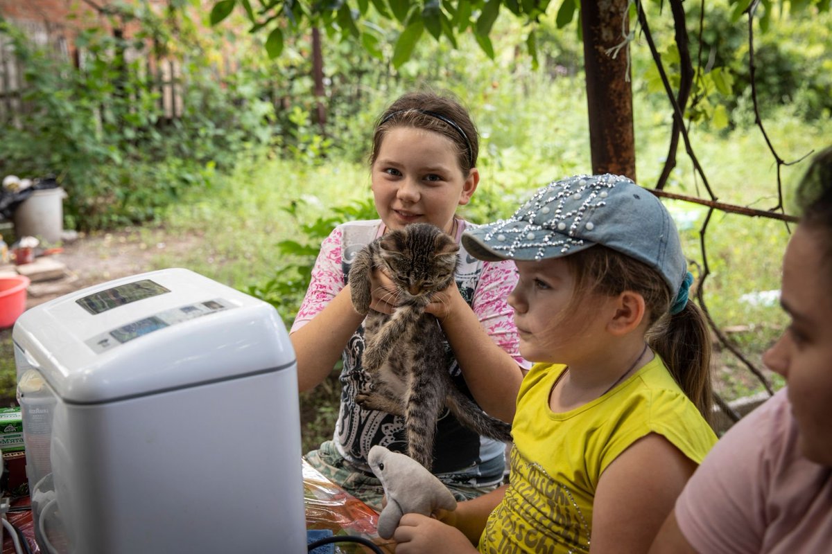 Feline Defence Force 🇺🇦 tweet media