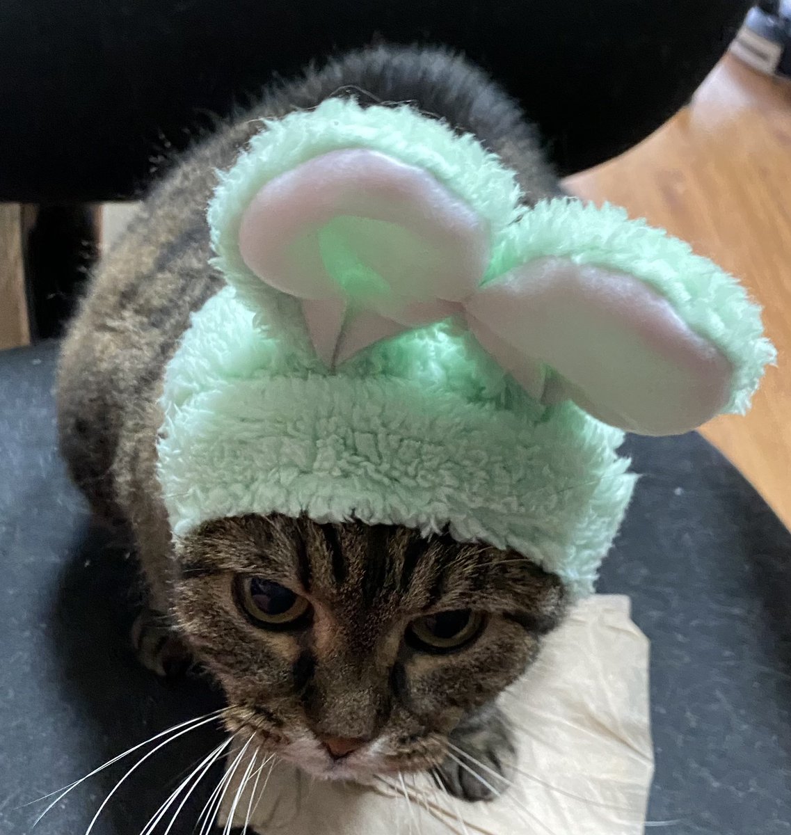 DelilahsTacos's tweet photo. Heck, Happy Estor I guess 🐣🐇 https://t.co/BSRYi2PmVX