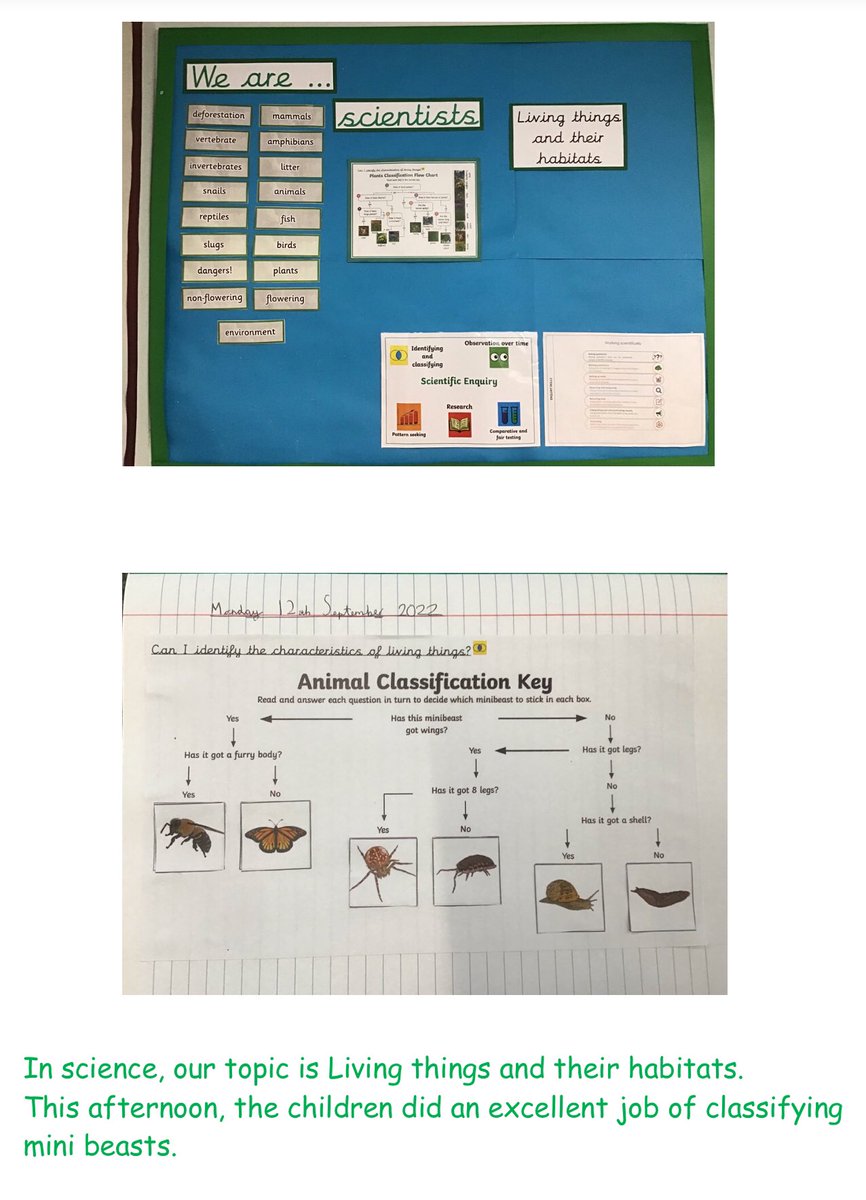 cloverscientist's tweet photo. Super learning this afternoon @CloverfieldsSch https://t.co/lDNLJ3HoWa