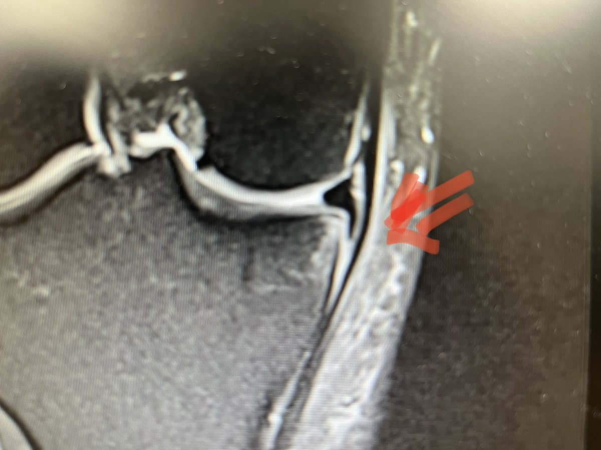 Jonathan Bell tweet media