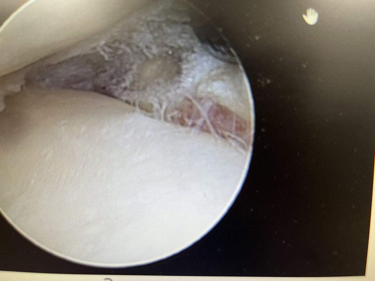 Jonathan Bell tweet media