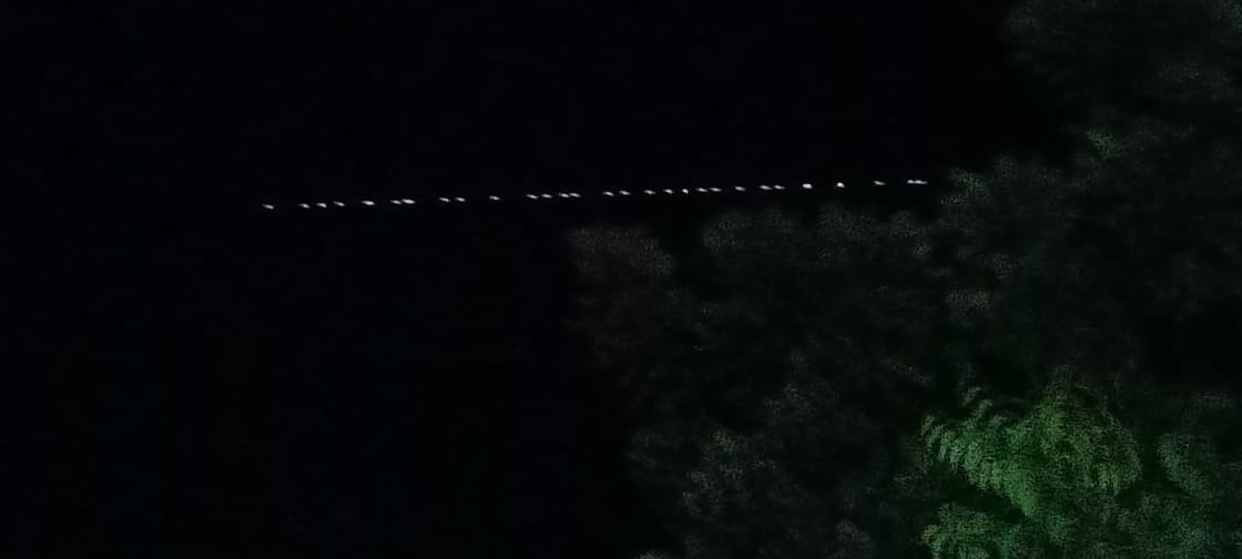 Abhijeet Singh tweet media