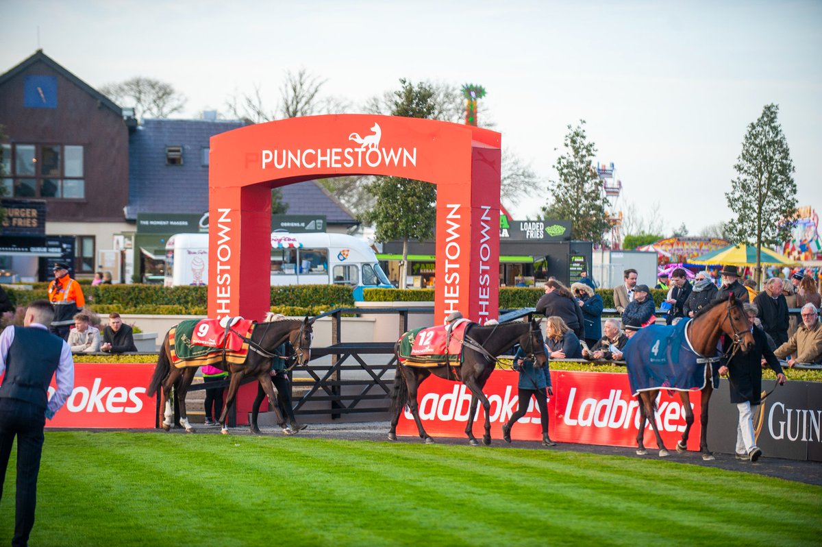 intokildare's tweet photo. Visit @punchestownrace for their only flat meeting this Tues, Sept 13th ππΌ
Keep an eye out for Punchestownβs Festival 2023 hospitality packages which will launch in the coming weeks π₯
For more info visit: https://t.co/nsEqT5VAgx
#IntoKildare #KeepDiscovering #IntoRacing https://t.co/no5TLbyqSp