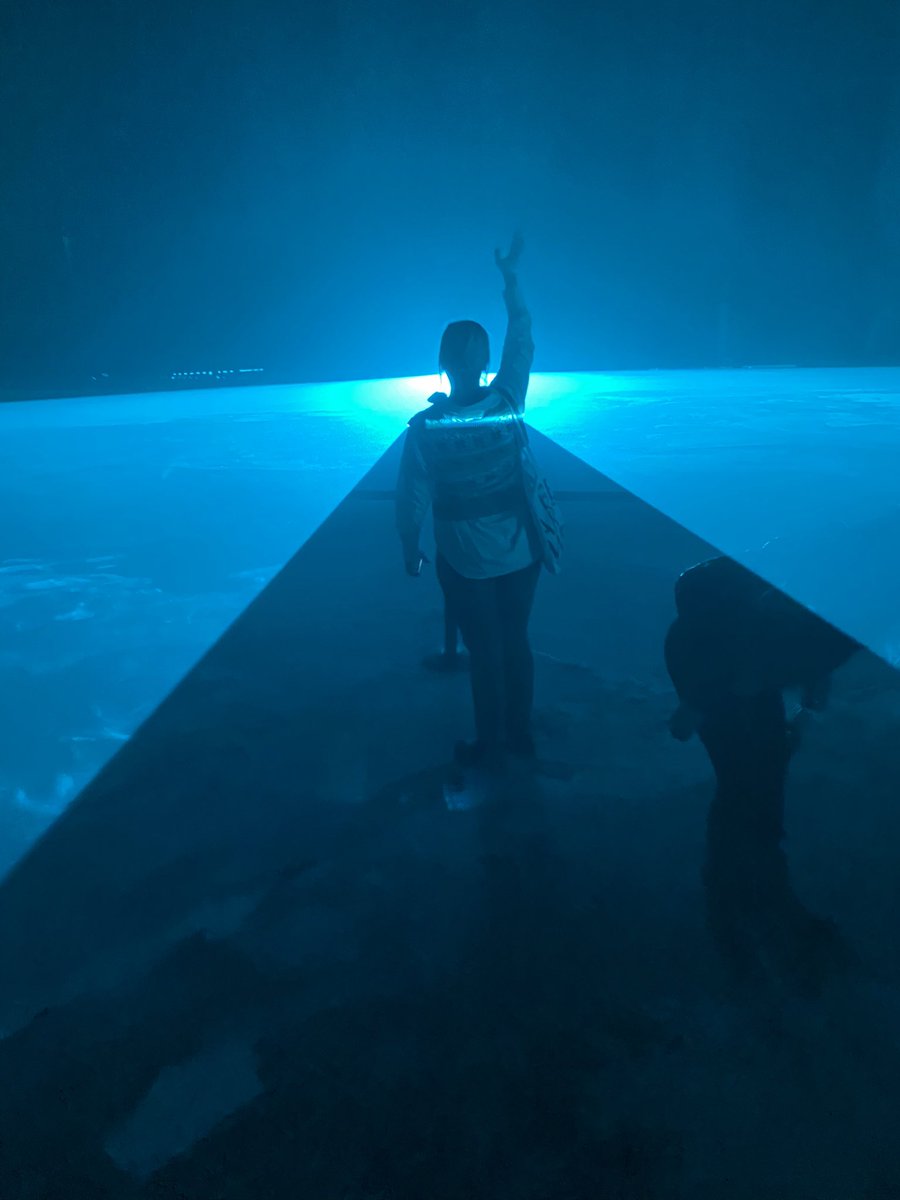 LauraHirvi's tweet photo. Two interesting exhibitions right now in Berlin dealing with the question of the self and identity with regards to virtual worlds and AI - #LuYang (PalaisPopulaire, free admission) & #IanCheng #LAS at Berghain @BerlinArtWeek https://t.co/GwKVqfysxc