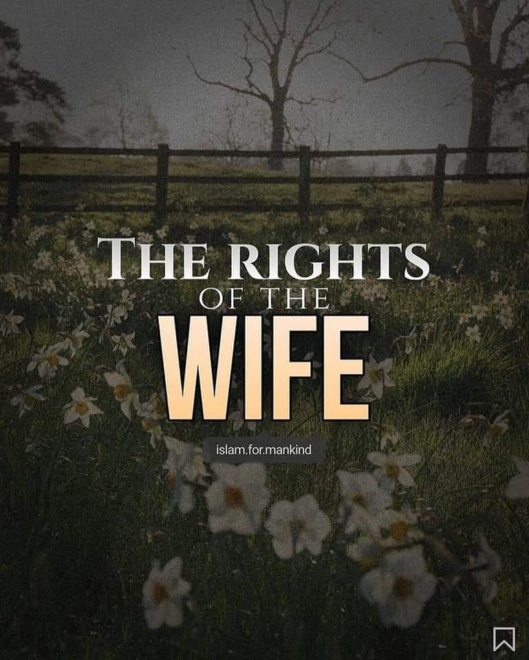 ●》The Rights Of The Wife.💗

●》Read all the slides 🖤📝