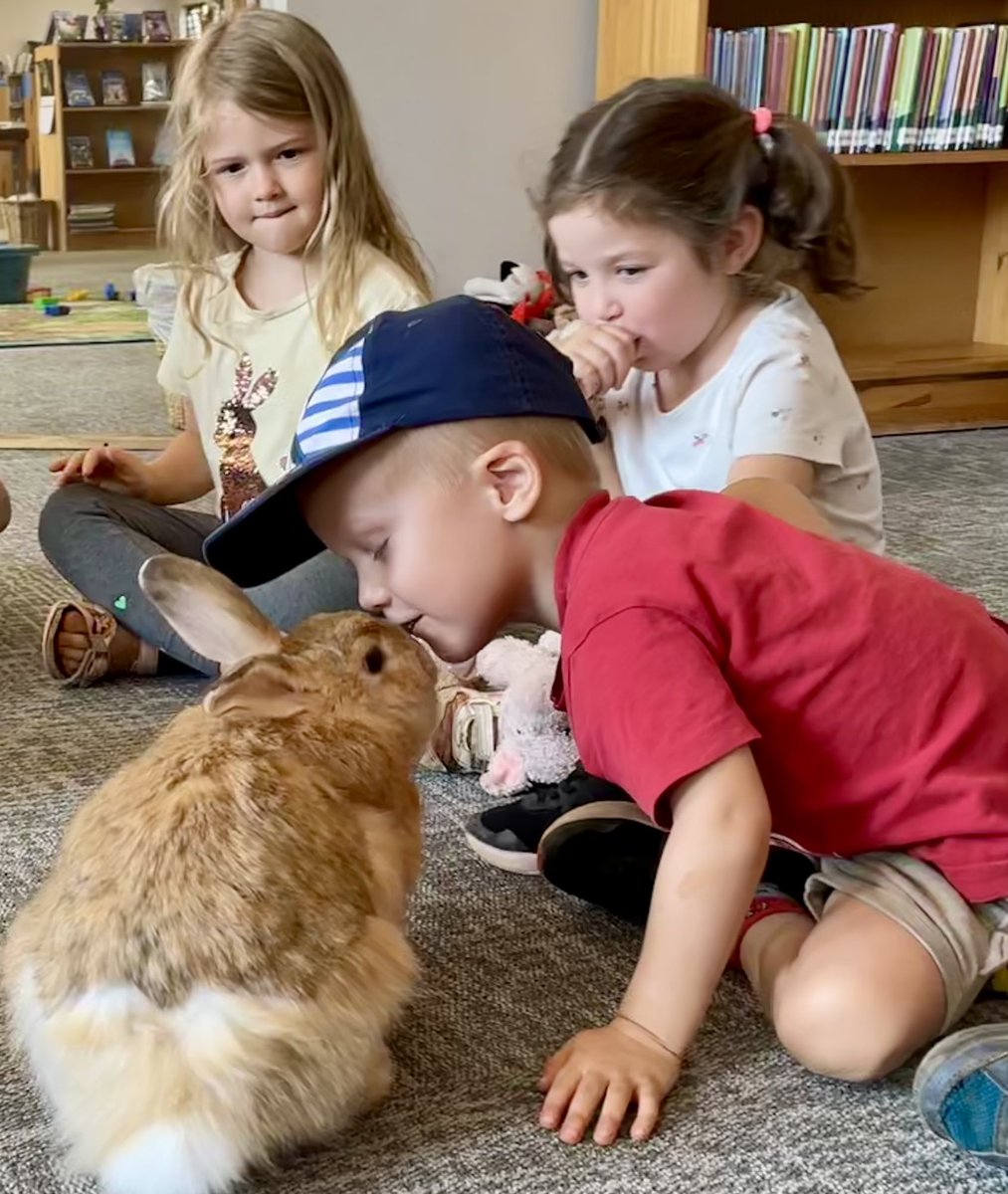 First day with masks off in 2.5 years and Ss got a chance to wish Knuffle, Happy Birthday. How cute is this? #empathy #supportrabbit #ibpyp #librarylife #inTLchat #tlchat <a href="/AISLusaka/">AIS Lusaka</a>