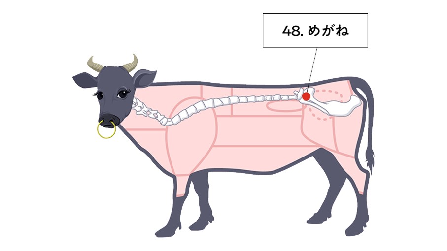 めがね Twitter Search Twitter