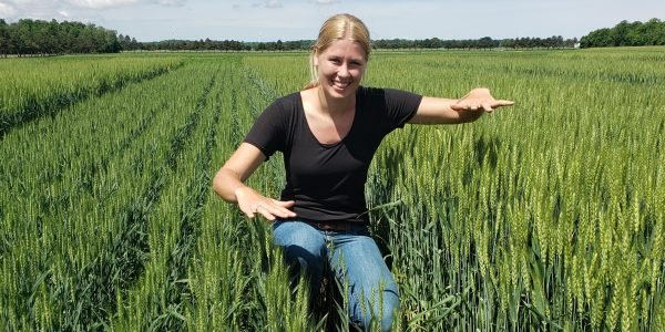 RealAgriculture (@realagriculture) on Twitter photo Growers who plant winter wheat early can expect higher yields, but growing conditions + the environment can impact plant physiology. Learn more in this #wheatschool episode with University of Guelph graduate student <a href="/emma_dieleman/">Emma Dieleman</a>
ow.ly/77bl50KFRbS
<a href="/RidgetownCampus/">Ridgetown Campus</a> Growers who plant winter wheat early can expect higher yields, but growing conditions + the environment can impact plant physiology. Learn more in this #wheatschool episode with University of Guelph graduate student <a href="/emma_dieleman/">Emma Dieleman</a>
ow.ly/77bl50KFRbS
<a href="/RidgetownCampus/">Ridgetown Campus</a>