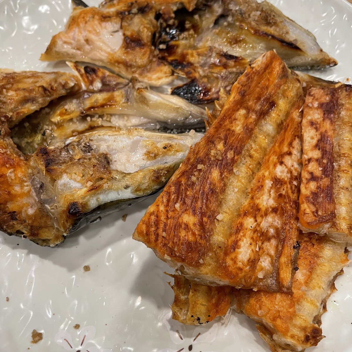 yseyesyse's tweet photo. 노량진수산시장 청양수산
사장님이 연어머리구이 히든카드 쓰심,, 미취겟음,,
#수민아이거먹어
#수민아_한잔했다
#시은이의꿀맛보장
#맛집이세은 https://t.co/qQseo10aaT