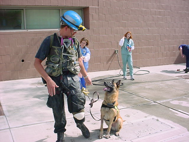 ascenttra's tweet photo. Furry friends on site make training even better. Hope these photos brighten your Monday!
#Ascenttra #MSELeers #emergencypreparedness #nextlevelpreparedness #Ascenttratraining #Ascenttraexercise #exercisetraining #safety #crisistraining #preparedness #training https://t.co/BnUgMpPnfF