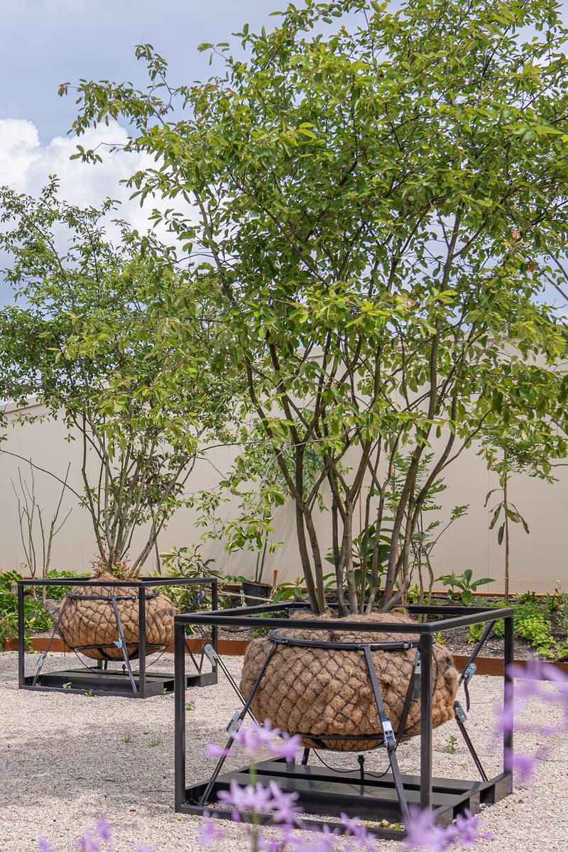 EbbenTrees's tweet photo. The Urban Jungle Project ontwikkelt innovatieve oplossingen om te #vergroenen op plekken waar het anders niet kan. Nog één maand te zien op de Floriade: kavel 55/56 The Wonderful World of Water and Trees.
#Wikkelhouse #Weltevree #growinggreencities #urbanjungleproject https://t.co/UNWSFhn02P