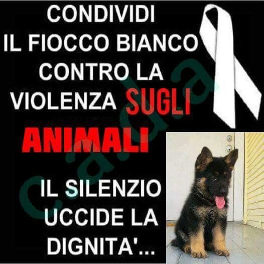 annamariamoscar's tweet image. 🤍🤍🤍🤍🤍