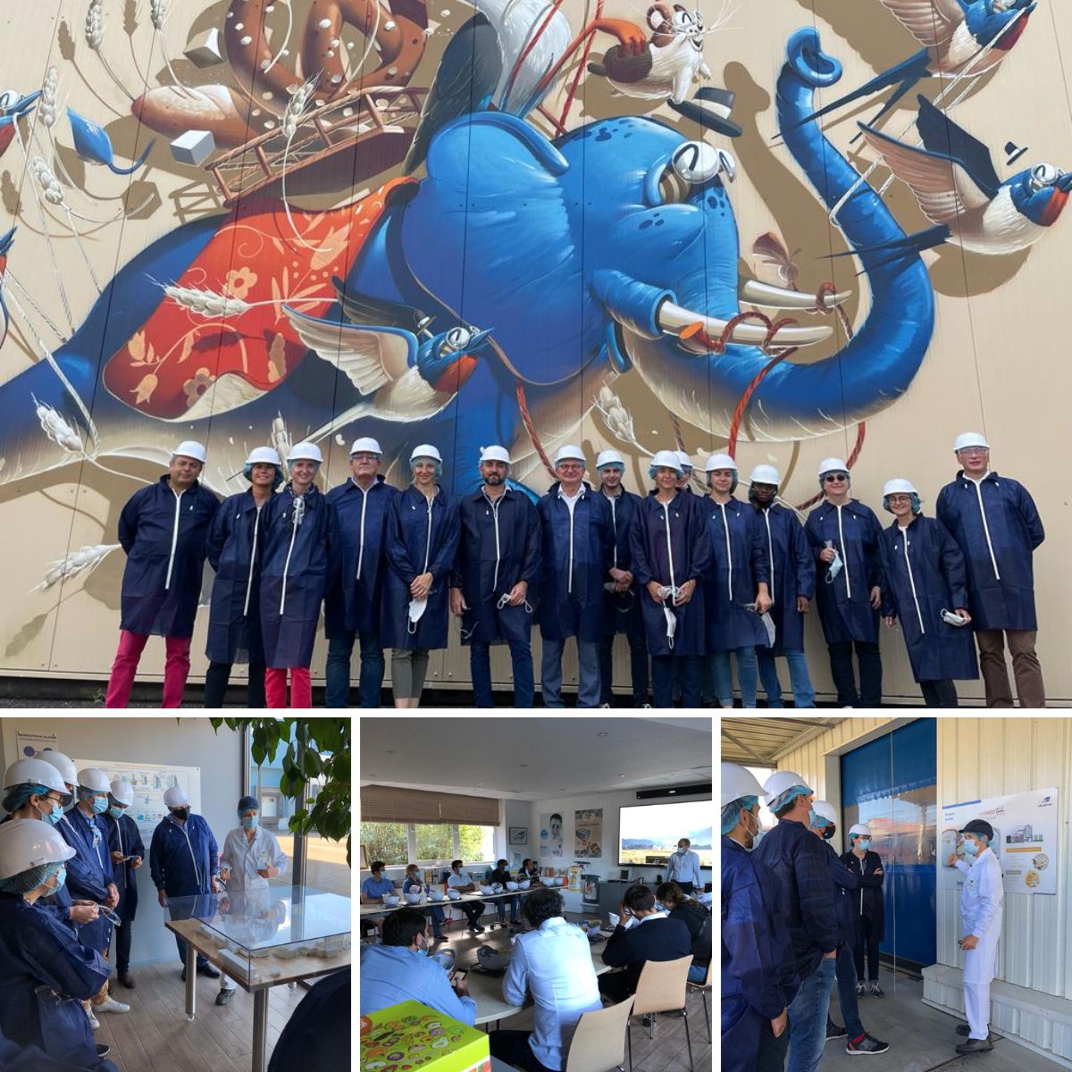 Agrauxine's tweet photo. Coup d'envoi la semaine dernière de notre #partenariat de distribution avec @SumiAgroFrance pour Smartfoil®, #biostimulant destiné aux grandes cultures, avec la formation des équipes sur le site Lesaffre Panification France à Strasbourg. https://t.co/KVtVOK9fGu
