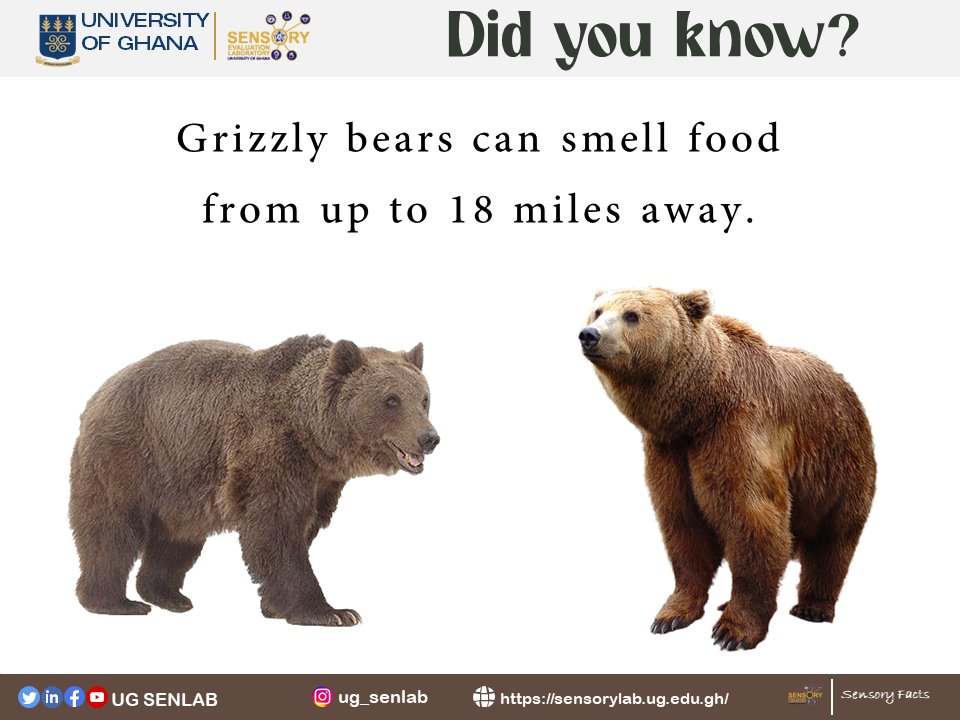 UG SENLAB tweet media