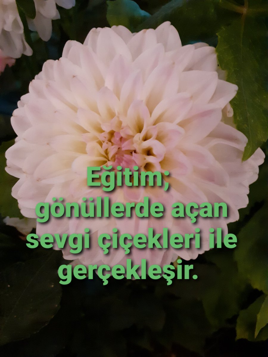 mzbolat60's tweet photo. 2022-2023 Eğitim öğretim yılının öğretmenlerimize, Eğitim çalışanlarımıza,  öğrenci ve velilerimize hayırlı olmasını Cenab-i Allah'tan niyaz ediyorum. https://t.co/p8UVd8e9H1
