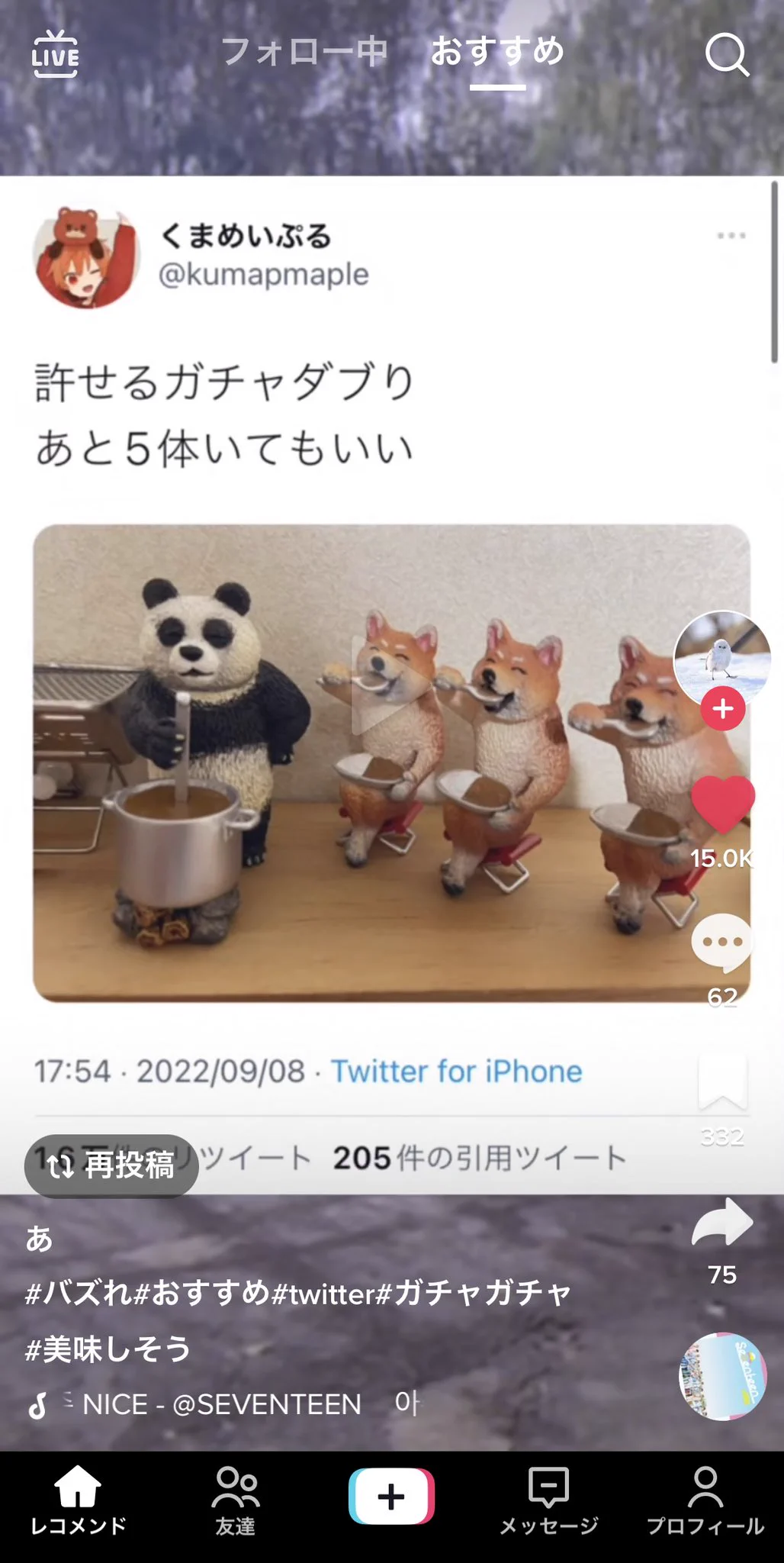 @kumapmaple TikTokでくまさんの流れてきてびっくりしました笑 