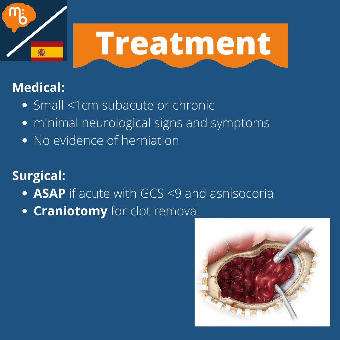 Mission:Brain Complutense tweet media