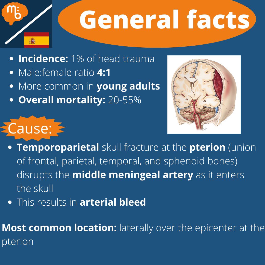 Mission:Brain Complutense tweet media