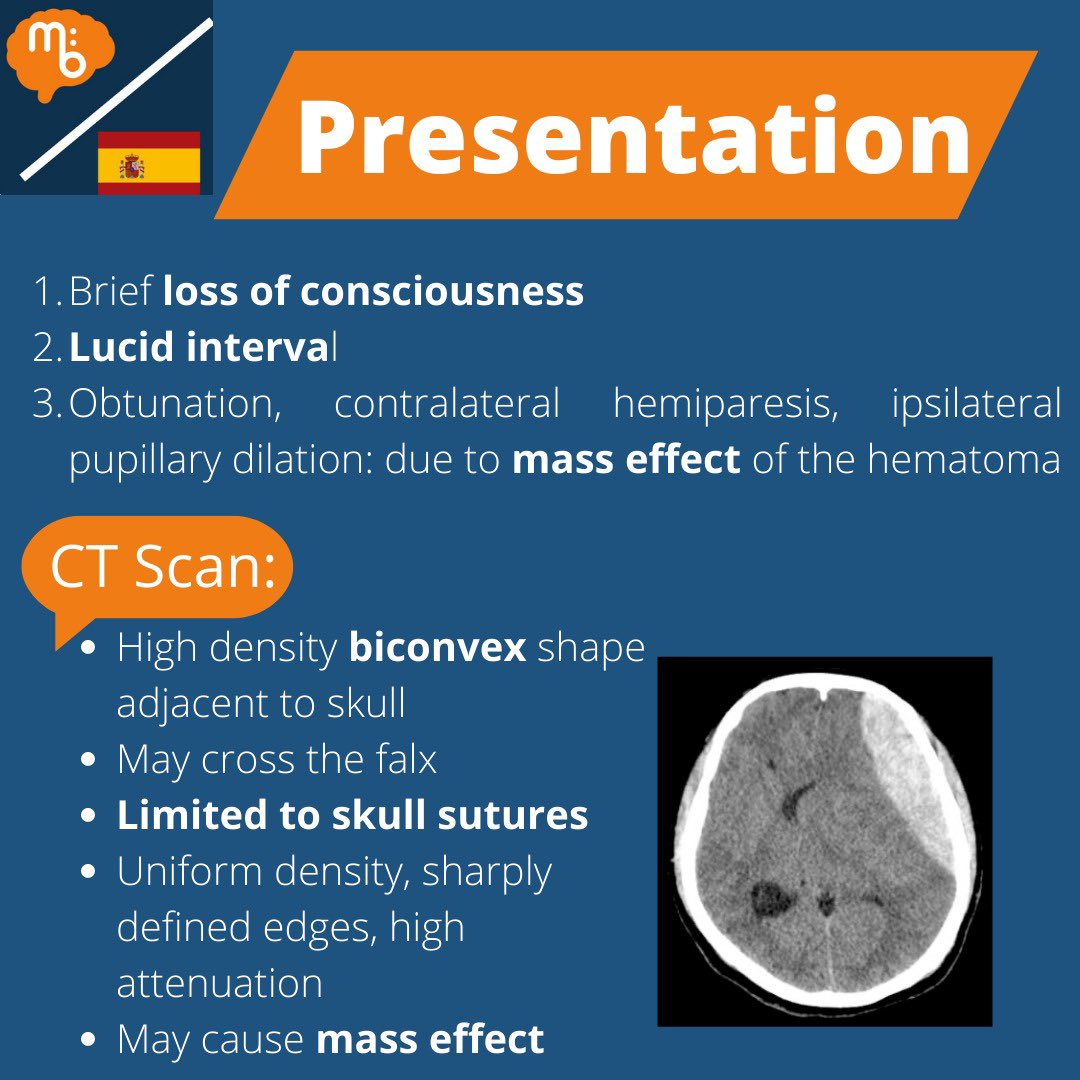 Mission:Brain Complutense tweet media