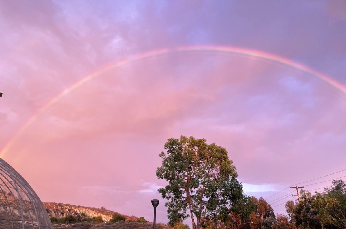 namarin0302's tweet photo. 9月11日のLAの空。空が凄く不思議な色だったみたい。ダブルレインボー🌈
雨上がりではなくて、この後に大雨が降ったらしいです。
友達に許可とったので写真を投稿します😊 ＃二重虹 https://t.co/35rKMY8eWz