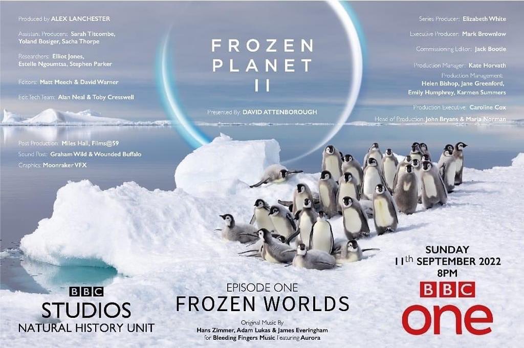 YBosiger's tweet photo. So proud to be part of the amazing team that made #FrozenPlanet2. The story of the Emperor Penguins was a tough one to get with over 40 days in quarantine before we even got to the ice. Hope you enjoyed it 😍 https://t.co/gt7mTh0wno