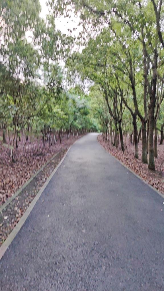 清爽的空气，晚上燥起来。