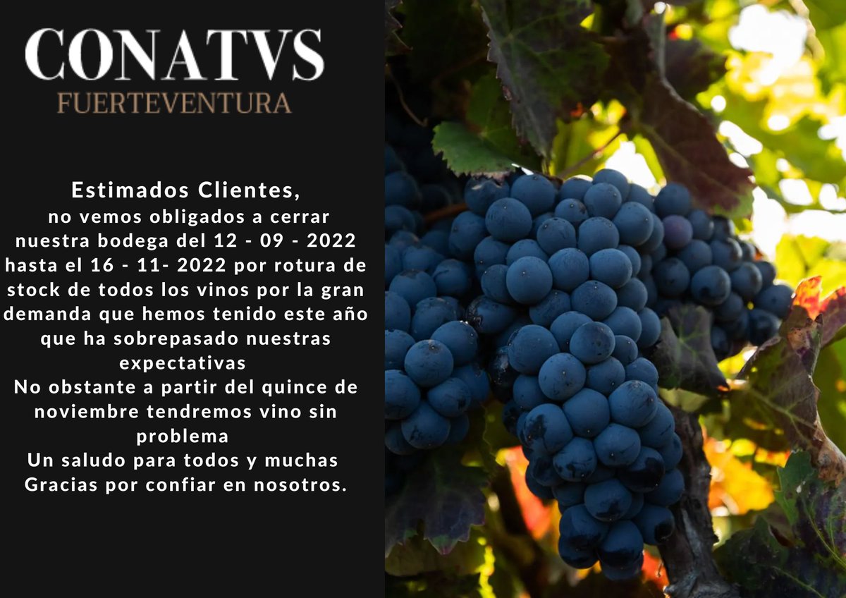 BodegaConatvs's tweet photo. Dear Customers, we are not forced to close our winery from 12-09-2022 to 16-11-2022 due to stock breakage of all wines due to the great demand we have had this year that has exceeded our expectations.
However from 15-11-2022 we will have wine.
Greetings to all and many thanks. https://t.co/P3sXjQ2iWc
