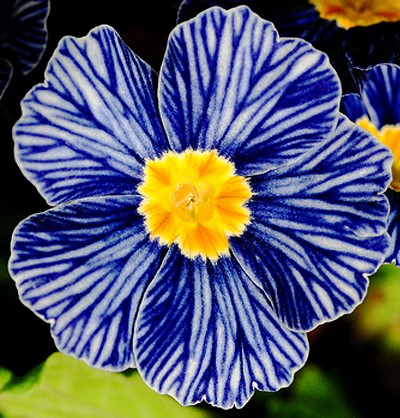 smaimes's tweet photo. We seek the good, the true, and the beautiful, and within each, variety. And we go beyond to experience the Eternal. Peace ~ https://t.co/oSMNC3cGdZ