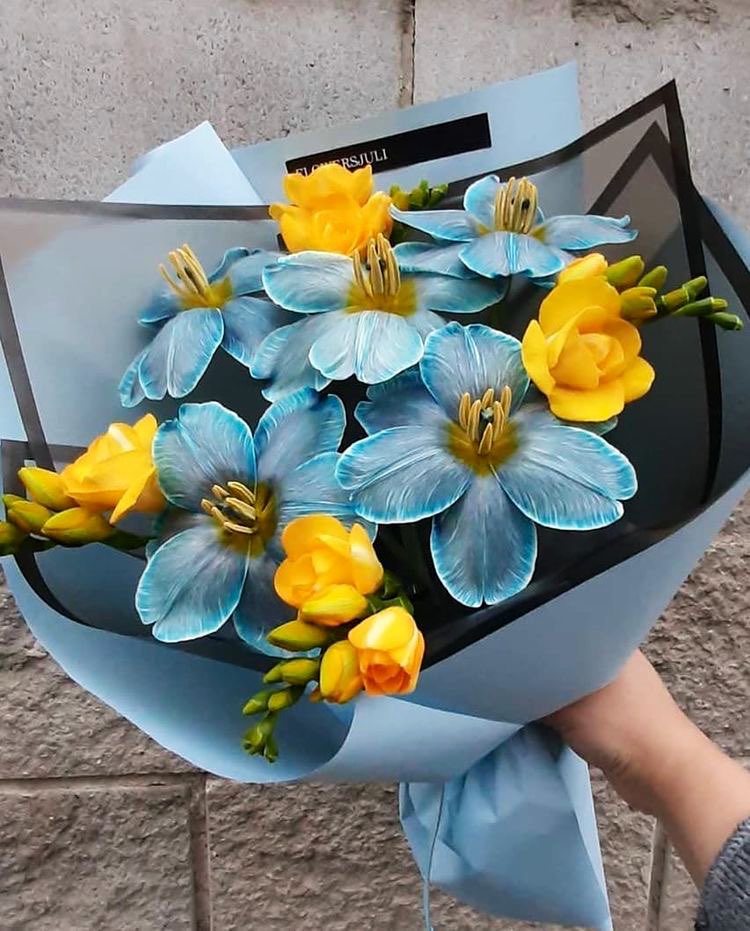 Dr Pooja Garg tweet media