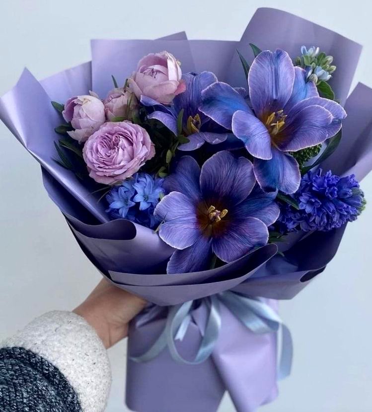 Dr Pooja Garg tweet media