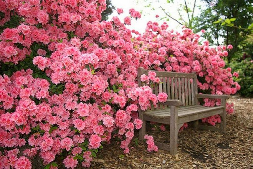 cesse589's tweet photo. Philippians 4:4 
Rejoice in the Lord always. Again I will say, rejoice!
Come sit with me... https://t.co/8rtzmkPrfX