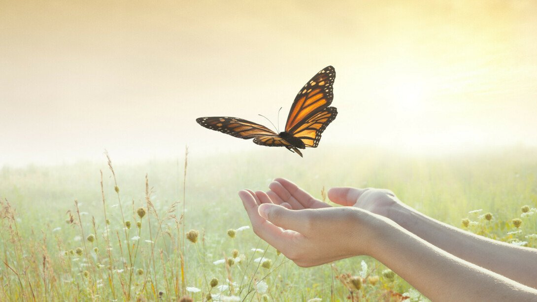 Soulmiracles111's tweet photo. Let go of what could have been. If it was meant to be, it would have been!
#Spirituality #life #truthwins #forgiveness #soulmiracles @SeffSaid @thesecret @EckhartTolle @mindvalley #mindfullness https://t.co/Fe8Xi8Blky