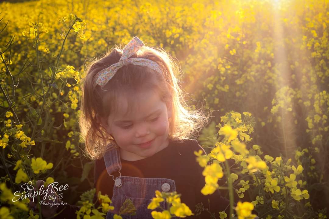 simplybeebyb's tweet photo. Sunset collection. 

#photo #sunset https://t.co/ReU7oclrWE