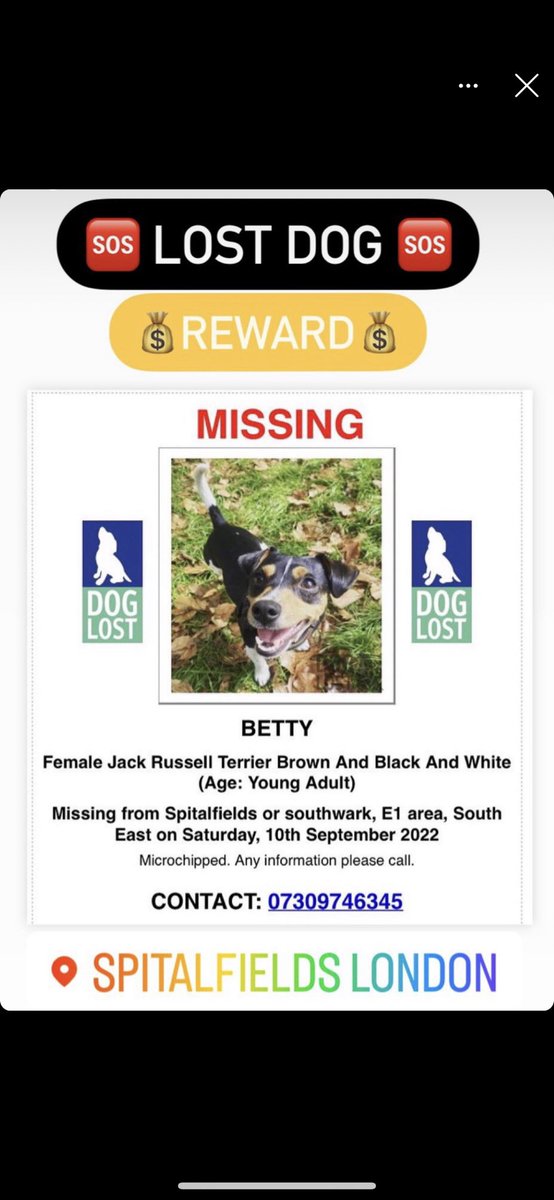 Hi twitter thank you for all the support trying to find Betty… SHE HAS NOT BEEN FOUND MISSING SINCE SATURDAY …. she is spayed if anyone has her & thinks that they can breed her that can not …. Please contact me with any info or potential sightings… thank you 🙏