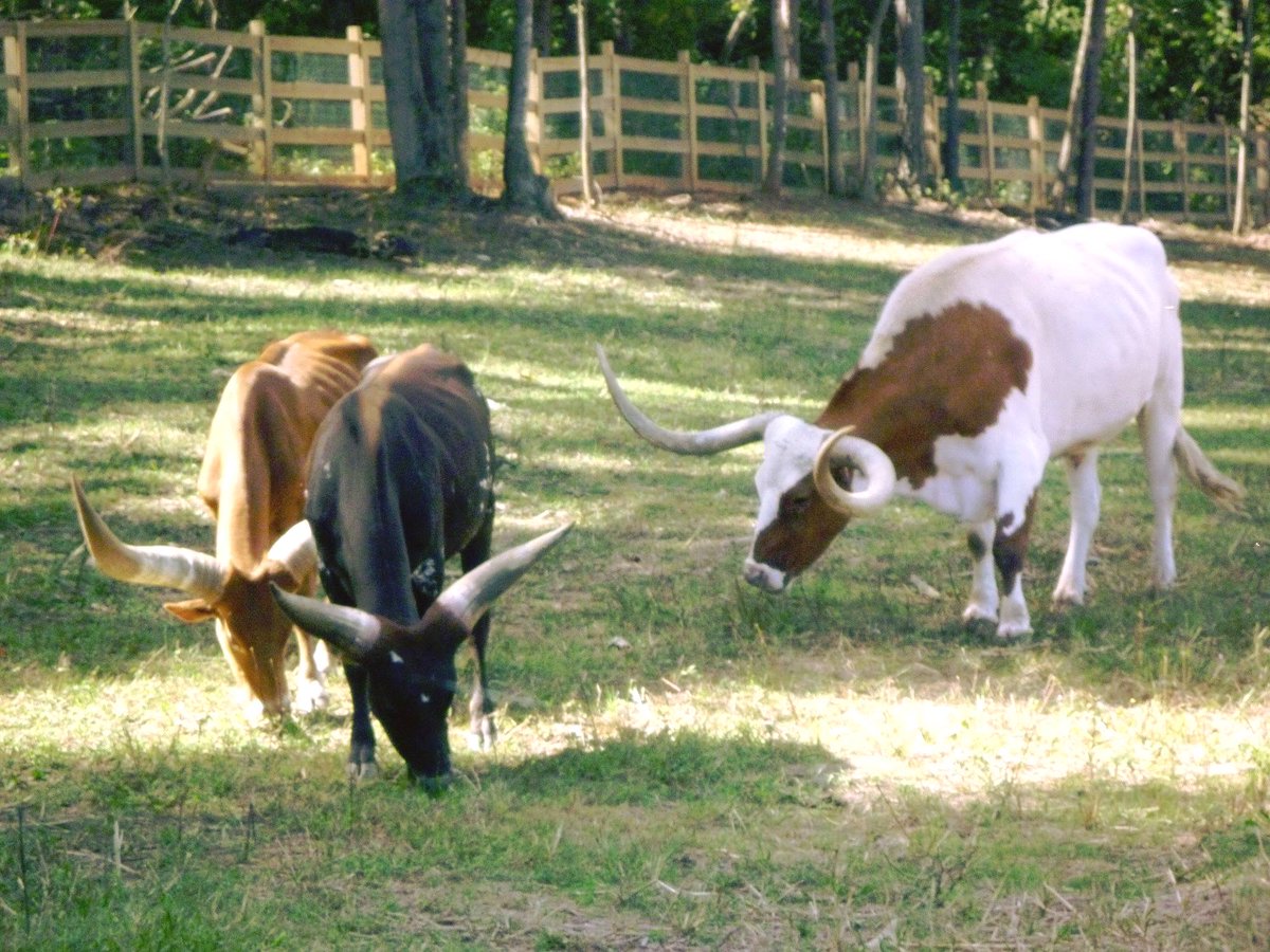 Retirement Media on Twitter "Small Town Livability https