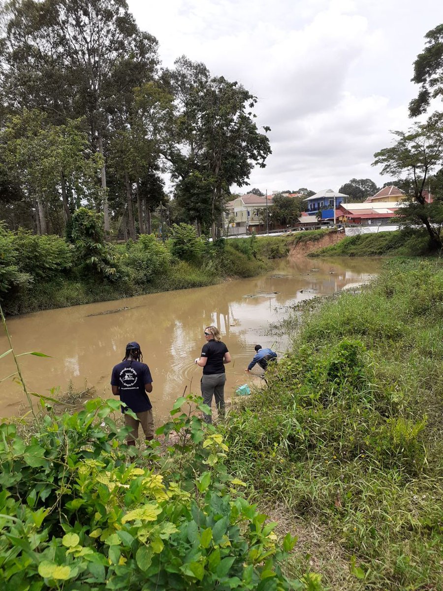 Claire Walsh tweet media