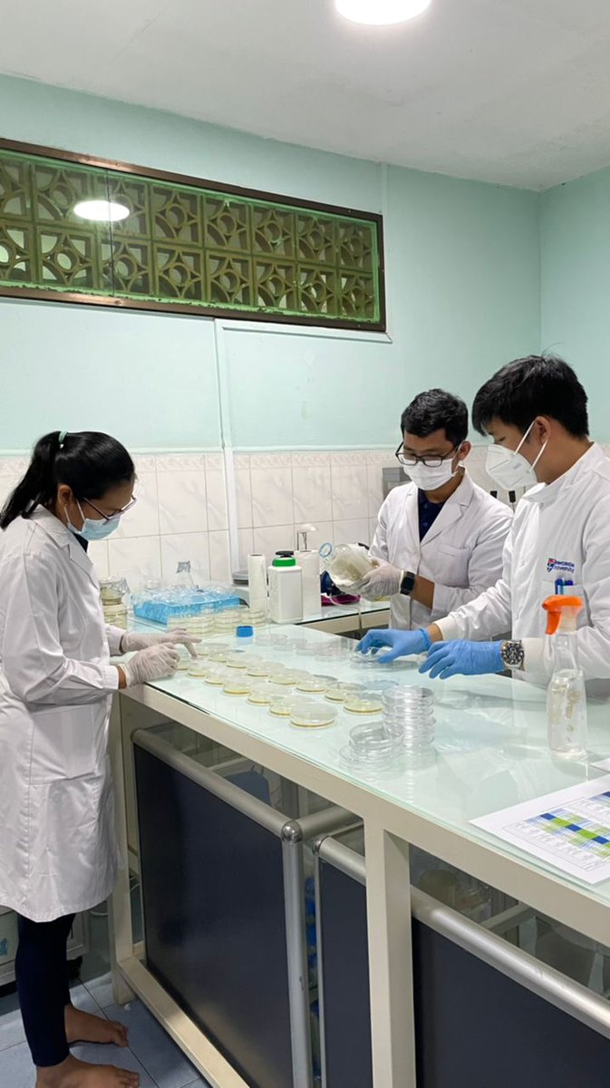 Claire Walsh tweet media