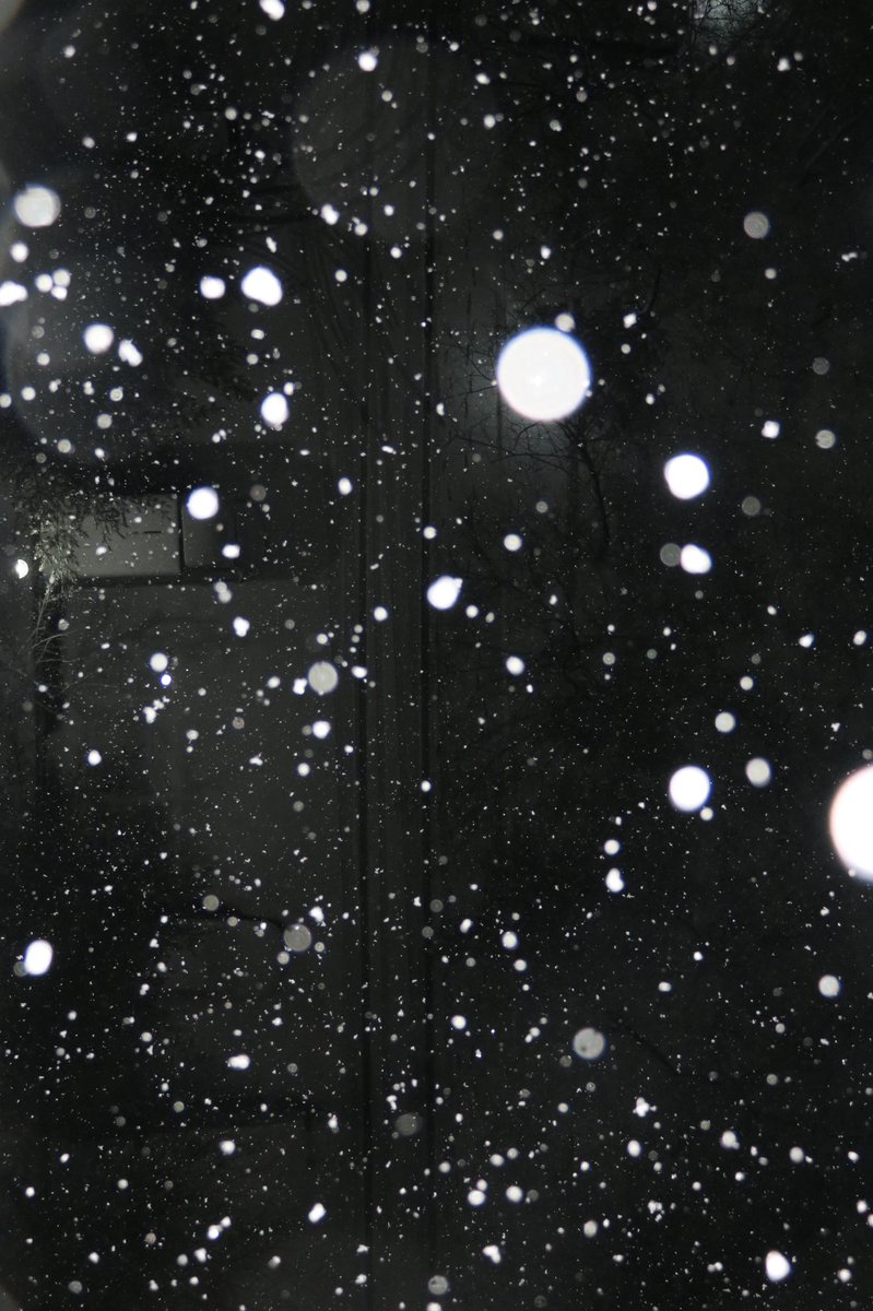 ❅ 눈송이 찍는 방법 ❅
 ﹌﹌﹌﹌﹌﹌﹌﹌
밤이든 낮이든 폰이든 카메라든
플래시 강제 발광하면 돼요 .ᐟ.ᐟ 📸