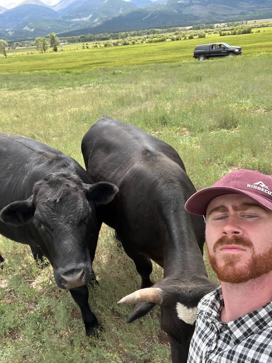 If you made it this far, thank you for reading.

My goal is to share my mission and story with as many people as possible. 

It would be greatly appreciated if you could retweet the first tweet in this thread. 

Thank you for the love &amp; support.