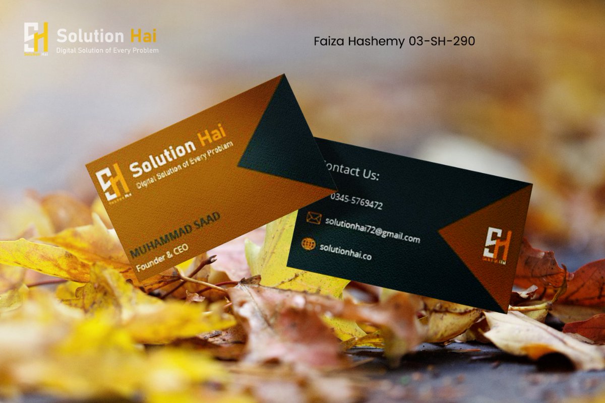 FaizaHashemy's tweet photo. Business card design #solutionhai #Illustrator #photoshop #graphicdesign #shapetool #pentool https://t.co/zD7k0fZrmO