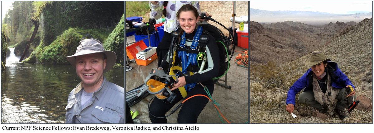 NatureNPS's tweet photo. Join us for the closing panel of the first #NPFScienceFellowship cohort on Tues, Sept. 13, at 3 PM ET. The fellows will discuss their projects and the future of their research beyond the fellowship. Register for the webinar: https://t.co/9kv5IEHzfJ 

#parkscience @NationalParkFdn https://t.co/l7GQ2NHZ09