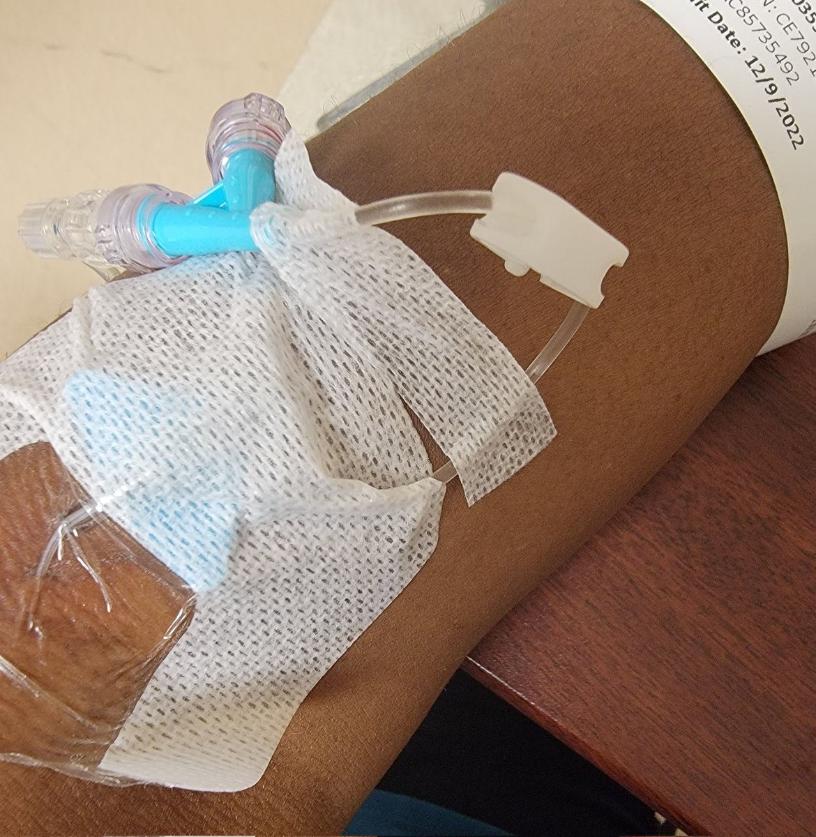 Birgit Umaigba-Omoruyi tweet media