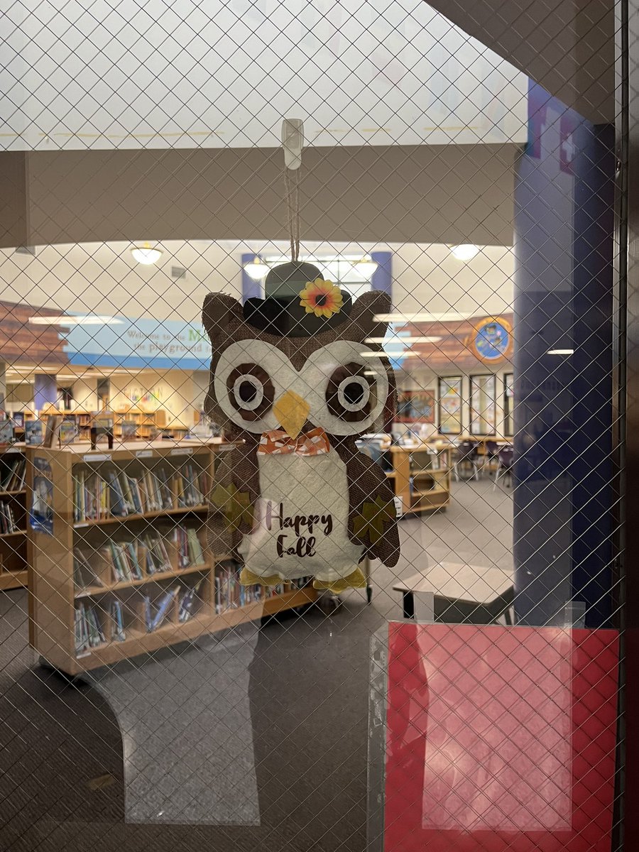 Autumn has “fall”en at the HES library! #piratestronghes