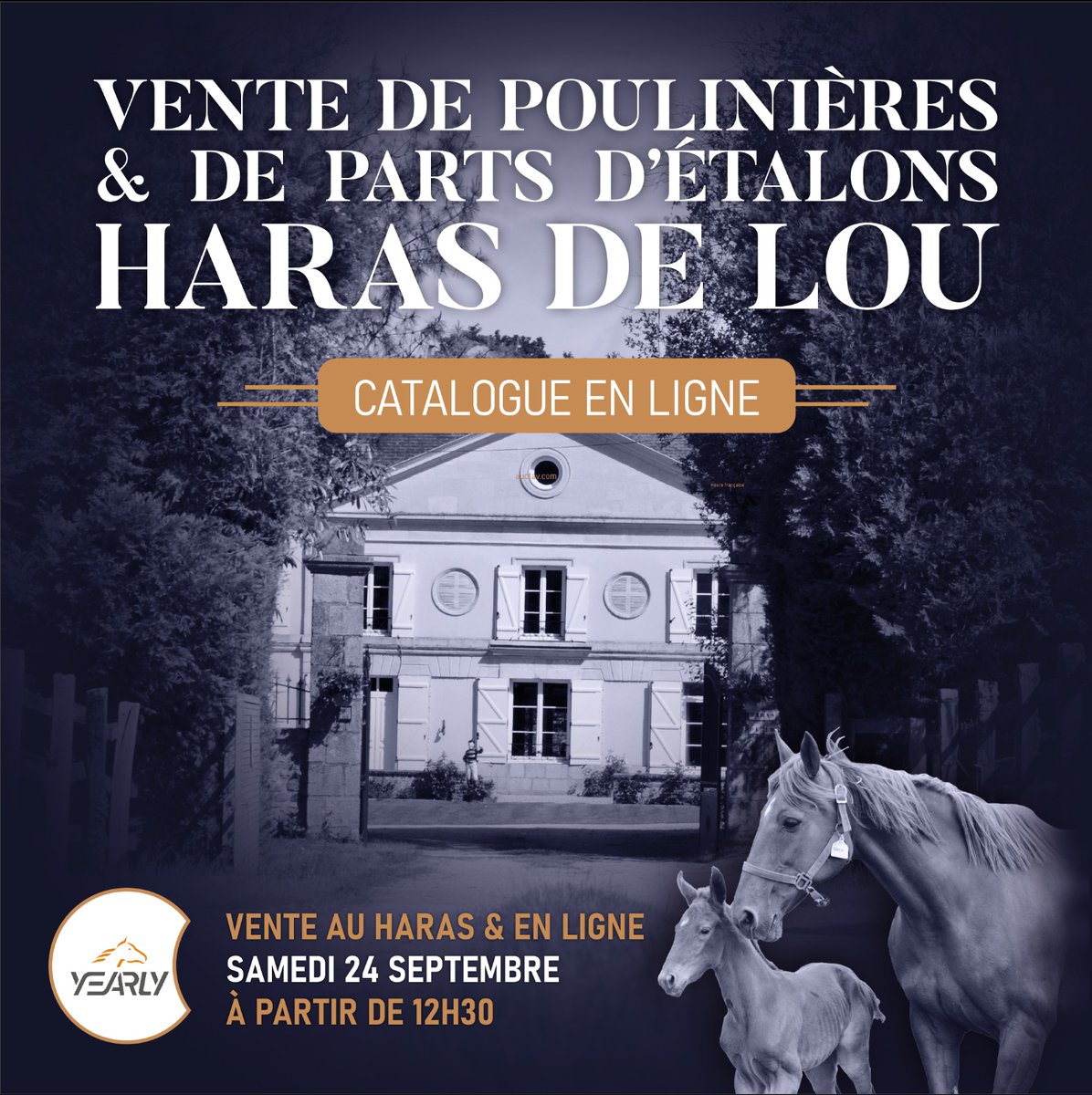[VENTE HARAS DE LOU]
🐎 L’intégralité des juments &amp; des parts d’étalon d’un haras historique, détenteur de 47 Groupes
💬 Des valeurs d’exigence et de rigueur acquises d’un passé de sportif, transposées dans la pratique au quotidien près des chevaux : « bien  élever pour gagner »