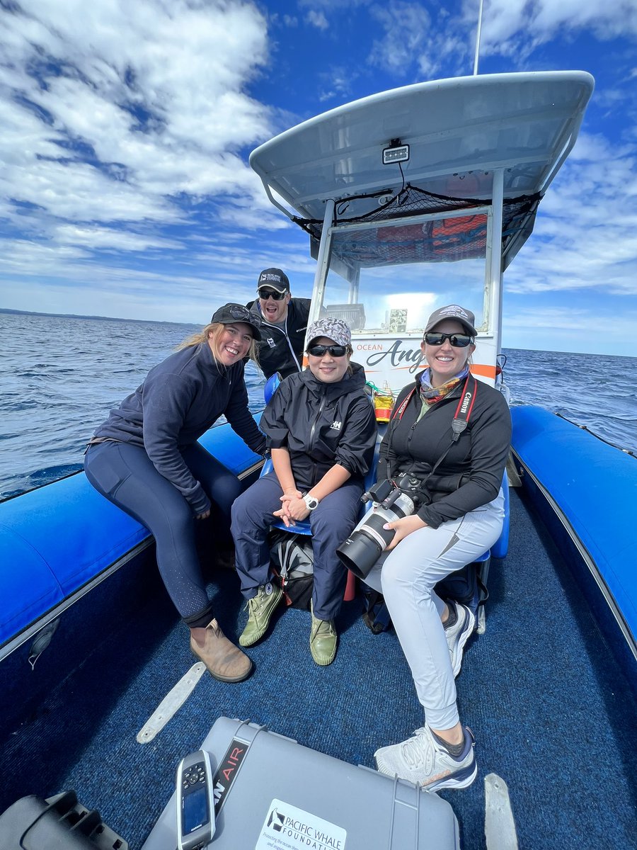We are pleased to welcome Dr. Nozomi Kobayashi to Hervey Bay! Nozomi is a whale researcher from the Okinawa Churashima Foundation that is collaborating with PWF to study the potential impacts of whale-watch tours and swim-with-whale tours in Okinawa, Japan.