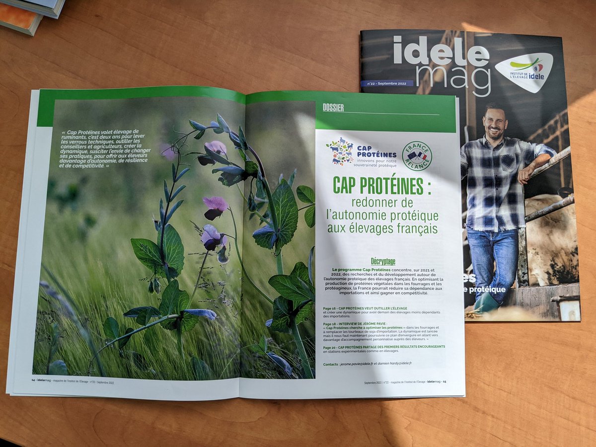 CapProteines's tweet photo. Tout beau, tout neuf ! 🤩
Le dernier #IdeleMag explique en 8 pages la partie #élevage du programme #CapProtéines 🌱🍀🫘🐄🐂🐑🐐
À retrouver dès demain au @SPACERennes https://t.co/zRUjXaonwB